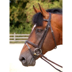 Hoofdstel Dy'on WC Classic Flash Bruin -Paardenbenodigdheden Winkel hoofdstel dy on wc classic flash bruin 1500x1500 101435