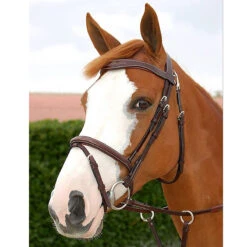 Hoofdstel Dy'on Working Collection Flash Noseband With Snap Hooks Bruin -Paardenbenodigdheden Winkel hoofdstel dy on working collection flash noseband with snap hooks bruin 1500x1500 141593