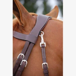 Hoofdstel Dy'on Working Collection Flash Noseband With Snap Hooks Bruin -Paardenbenodigdheden Winkel hoofdstel dy on working collection flash noseband with snap hooks bruin 1500x1500 141594
