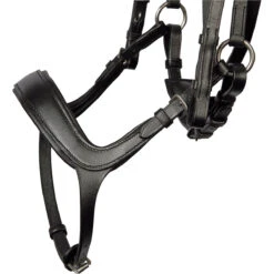 Hoofdstel Harry's Horse Comfort Zwart -Paardenbenodigdheden Winkel hoofdstel harry s horse comfort zwart 1500x1500 145004