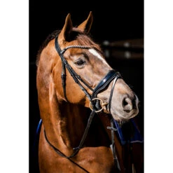 Hoofdstel HB Special Guy Zwart 8 Hoofdstel HB Special Guy Zwart -Paardenbenodigdheden Winkel hoofdstel hb special guy zwart 1500x1500 146330