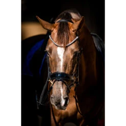 Hoofdstel HB Special Guy Zwart 11 Hoofdstel HB Special Guy Zwart -Paardenbenodigdheden Winkel hoofdstel hb special guy zwart 1500x1500 146333