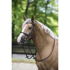 Hoofdstel Horsegear Styx Zwart -Paardenbenodigdheden Winkel hoofdstel horsegear styx zwart 1500x1500 119257