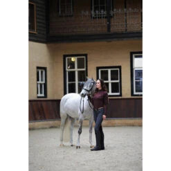 Hoofdstel Horsegear Styx Zwart -Paardenbenodigdheden Winkel hoofdstel horsegear styx zwart 1500x1500 119258