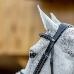 Hoofdstel LeMieux Competition Flash Zwart -Paardenbenodigdheden Winkel hoofdstel lemieux competition flash zwart 1500x1500 163684
