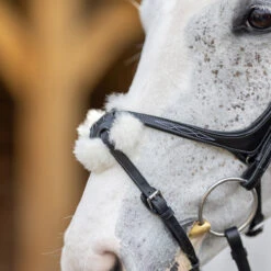 Hoofdstel LeMieux Competition Flash Zwart -Paardenbenodigdheden Winkel hoofdstel lemieux competition flash zwart 1500x1500 163685