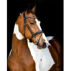 Hoofdstel Montar Fair Zwart -Paardenbenodigdheden Winkel hoofdstel montar fair zwart 1500x1500 157931