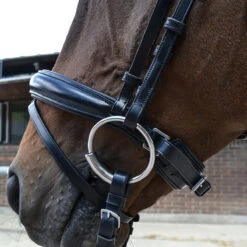 Hoofdstel Montar Fair Zwart -Paardenbenodigdheden Winkel hoofdstel montar fair zwart 1500x1500 157934