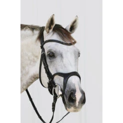 Hoofdstel Montar Monarch Bruin -Paardenbenodigdheden Winkel hoofdstel montar monarch bruin 1500x1500 122394