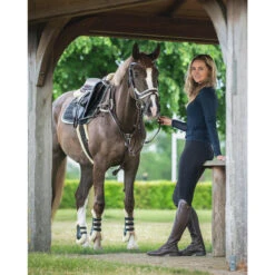 Hoofdstel QHP Ontario Bruin -Paardenbenodigdheden Winkel hoofdstel qhp ontario bruin 1500x1500 124729