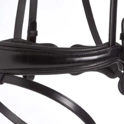 Hoofdstel Schockemöhle Brantford Zwart-zilver -Paardenbenodigdheden Winkel hoofdstel schockemohle brantford zwart zilver 1500x1500 145722