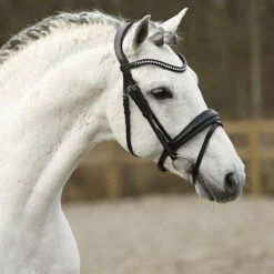 Hoofdstel SKØL Dyrt Zwart -Paardenbenodigdheden Winkel hoofdstel skol dyrt zwart 1500x1500 183683