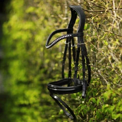 Hoofdstel SKØL Dyrt Zwart -Paardenbenodigdheden Winkel hoofdstel skol dyrt zwart 1500x1500 183686