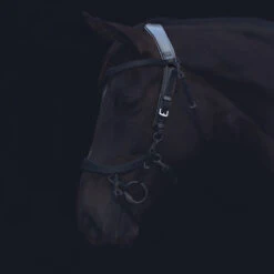 Kopstuk PresTeq FaySport Zwart -Paardenbenodigdheden Winkel kopstuk presteq faysport zwart 1500x1500 130558