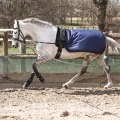 Longeerdeken Busse Rain Donkerblauw 6 Longeerdeken Busse Rain Donkerblauw -Paardenbenodigdheden Winkel longeerdeken busse rain donkerblauw 1500x1500 134397