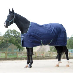 Onderdeken Bucas Quilt Stay-dry 300gr Donkerblauw -Paardenbenodigdheden Winkel onderdeken bucas quilt stay dry 300gr donkerblauw 1500x1500 100561