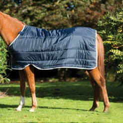 Onderdeken Horseware Pony Liner 100gr Donkerblauw-zilver -Paardenbenodigdheden Winkel onderdeken horseware pony liner 100gr donkerblauw zilver 1500x1500 133015