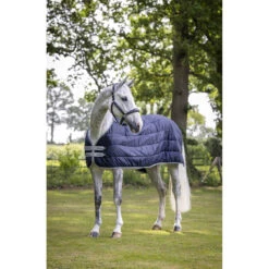 Onderdeken LeMieux Arika 100gr Donkerblauw -Paardenbenodigdheden Winkel onderdeken lemieux arika 100gr donkerblauw 1500x1500 163506