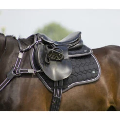 Onderlegger QHP Eldorado Zwart -Paardenbenodigdheden Winkel onderlegger qhp eldorado zwart 1500x1500 103329