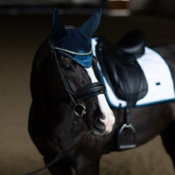 Oornetje Equestrian Stockholm Blue Meadow Glimmer Blauw 5 Oornetje Equestrian Stockholm Blue Meadow Glimmer Blauw -Paardenbenodigdheden Winkel oornetje equestrian stockholm blue meadow glimmer blauw 1500x1500 174165