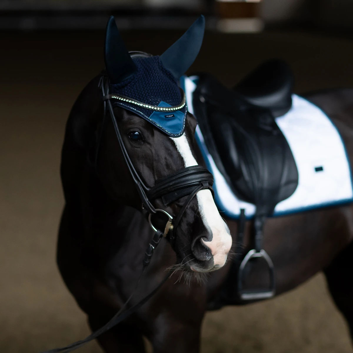 Oornetje Equestrian Stockholm Blue Meadow Glimmer Blauw 3 Oornetje Equestrian Stockholm Blue Meadow Glimmer Blauw - Afbeelding 3