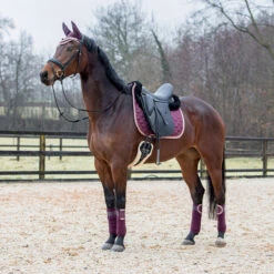 Oornetje Horsegear Aurum Paars -Paardenbenodigdheden Winkel oornetje horsegear aurum paars 1500x1500 139077