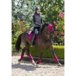 Oornetje LeMieux Loire Donkerrood -Paardenbenodigdheden Winkel oornetje lemieux loire donkerrood 1500x1500 122976