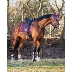 Oornetje QHP Menton Paars -Paardenbenodigdheden Winkel oornetje qhp menton paars 1500x1500 186399