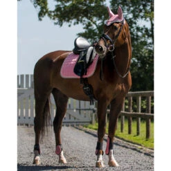 Peesbeschermers QHP Roze -Paardenbenodigdheden Winkel peesbeschermers qhp roze 1500x1500 112215