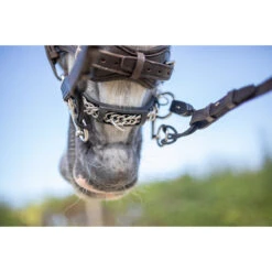 Pelham Riempjes Sprenger Zwart -Paardenbenodigdheden Winkel pelham riempjes sprenger zwart 1500x1500 103273