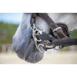 Pelham Riempjes Sprenger Zwart -Paardenbenodigdheden Winkel pelham riempjes sprenger zwart 1500x1500 103274