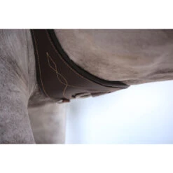 Singel Kentucky Anatomisch Bruin -Paardenbenodigdheden Winkel singel kentucky anatomisch bruin 1500x1500 137513