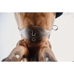 Singel Kentucky Anatomisch Bruin -Paardenbenodigdheden Winkel singel kentucky anatomisch bruin 1500x1500 137515