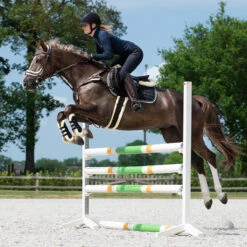 Singel QHP Ontario Bruin -Paardenbenodigdheden Winkel singel qhp ontario bruin 1500x1500 155891