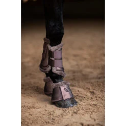 Springschoenen Equestrian Stockholm Amaranth Bruin -Paardenbenodigdheden Winkel springschoenen equestrian stockholm amaranth bruin 1500x1500 165044