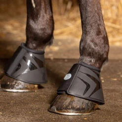 Springschoenen Harry's Horse Pro-High Zwart -Paardenbenodigdheden Winkel springschoenen harry s horse pro high zwart 1500x1500 134495