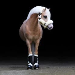 Springschoenen Horsegear Lieve Zwart -Paardenbenodigdheden Winkel springschoenen horsegear lieve zwart 1500x1500 101948