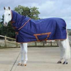 Staldeken Bucas Shamrock Quilt 150gr Donkerblauw -Paardenbenodigdheden Winkel staldeken bucas shamrock quilt 150gr donkerblauw 1500x1500 157971