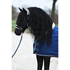 Staldeken Friesian Horse By Horsegear 160gr Donkerblauw -Paardenbenodigdheden Winkel staldeken friesian horse by horsegear 160gr donkerblauw 1500x1500 173333