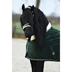 Staldeken Friesian Horse By Horsegear 160gr Donkergroen -Paardenbenodigdheden Winkel staldeken friesian horse by horsegear 160gr donkergroen 1500x1500 173363