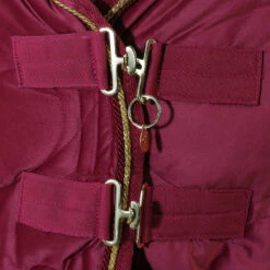 Staldeken Friesian Horse By Horsegear 160gr Donkerrood -Paardenbenodigdheden Winkel staldeken friesian horse by horsegear 160gr donkerrood 1500x1500 173354