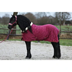 Staldeken Friesian Horse By Horsegear 160gr Donkerrood -Paardenbenodigdheden Winkel staldeken friesian horse by horsegear 160gr donkerrood 1500x1500 173438