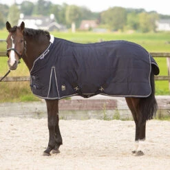 Staldeken Harry's Horse Highliner 200gr Donkerblauw -Paardenbenodigdheden Winkel staldeken harry s horse highliner 200gr donkerblauw 1500x1500 133575
