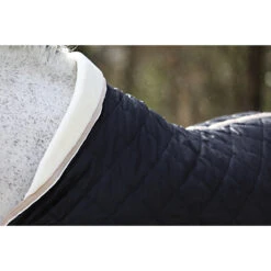 Staldeken Horsegear Lodix 150gr Black-beige -Paardenbenodigdheden Winkel staldeken horsegear lodix 150gr black beige 1500x1500 117060