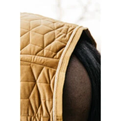Staldeken Kentucky Velvet 160gr Donkergeel -Paardenbenodigdheden Winkel staldeken kentucky velvet 160gr donkergeel 1500x1500 139903