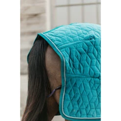 Staldeken Kentucky Velvet 160gr Groen -Paardenbenodigdheden Winkel staldeken kentucky velvet 160gr groen 1500x1500 139909