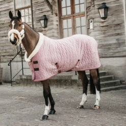 Staldeken Kentucky Velvet 160gr Roze -Paardenbenodigdheden Winkel staldeken kentucky velvet 160gr roze 1500x1500 139895