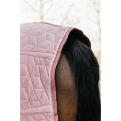 Staldeken Kentucky Velvet 160gr Roze -Paardenbenodigdheden Winkel staldeken kentucky velvet 160gr roze 1500x1500 139896
