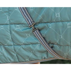 Staldeken QHP Collection 200gr Groen -Paardenbenodigdheden Winkel staldeken qhp collection 200gr groen 1500x1500 162685