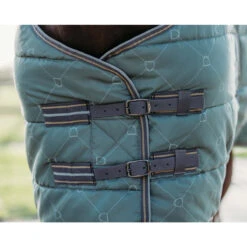 Staldeken QHP Collection 200gr Groen -Paardenbenodigdheden Winkel staldeken qhp collection 200gr groen 1500x1500 162686